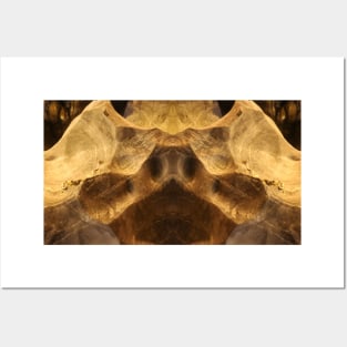 Abstract stretched pig snout on cave wall Posters and Art